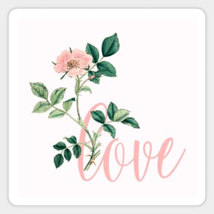 Valentine with Pink Rose Flower Magnet